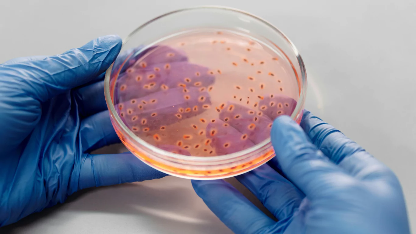 Banner candidiasis vaginal en farmacia farmatrave156 en vigo